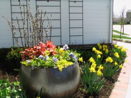 Ping Spring Container Spring Containers