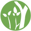 Writer: Atrium Tree Service
