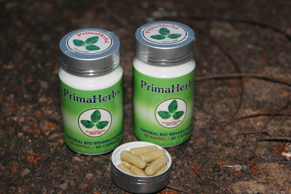 Thumbnail: PrimaHerbs PROMO A  1 Bottle