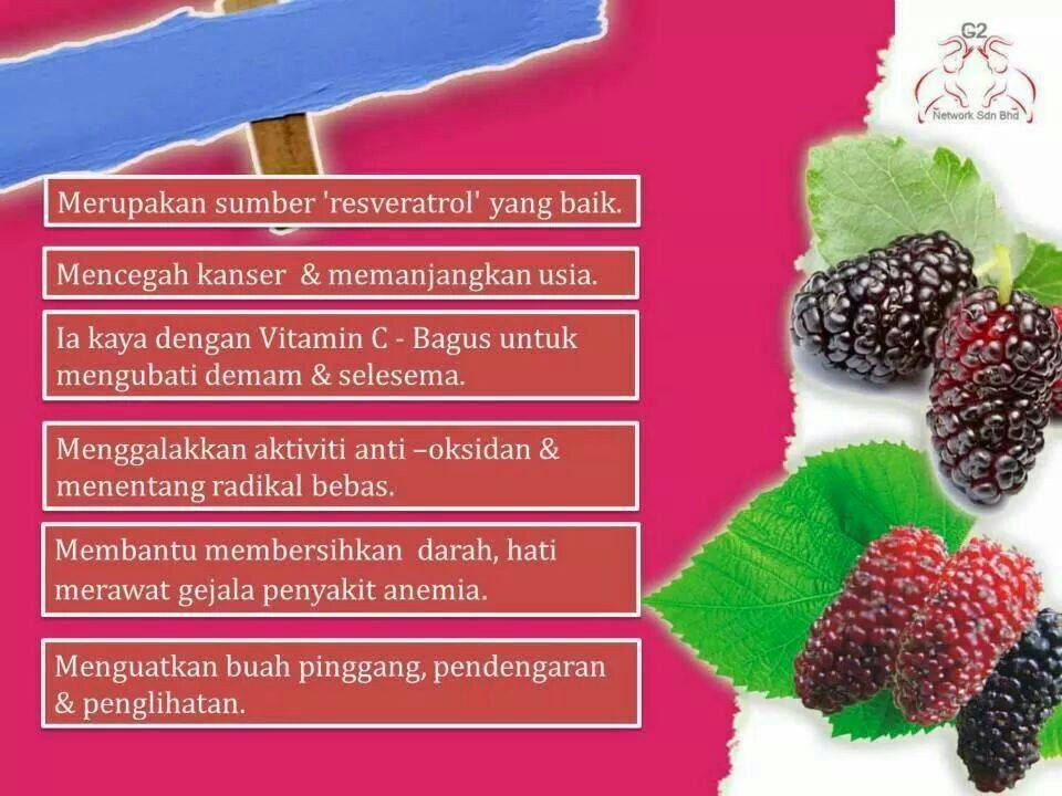 Thumbnail: X IDOLA-BOTANIKAL INTIPATI MELANGSING/MEMBENTUK/DETOKSI & MENGEMPES