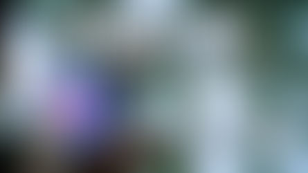 NOTHING IS AS IT SEEMS TO BE ~ The High Council of Sirius