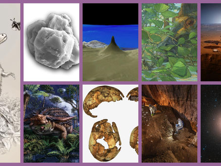 9 New Discoveries of 2020
