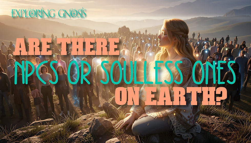 Are There NPCs or Soulless Ones on Earth? ~ Exploring Gnosis