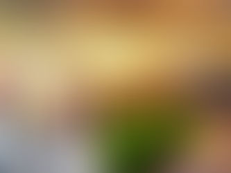 When the Earth School Ends, And Paradise Begins. ~ The Pleiadian Collective