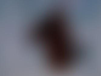 Important Message From The Galactic Federation To Humanity