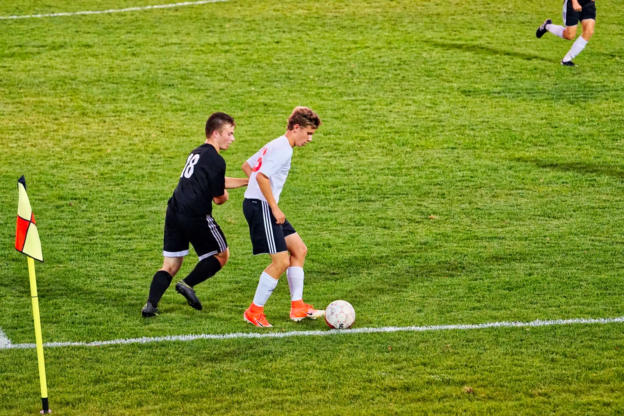 16 B. Risseeuw 1
