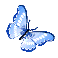 butterfly.gif