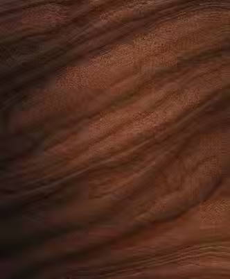 brown bkgnd.avif