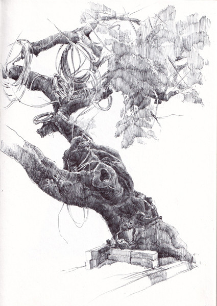 Trees in Disguise (Leaning Tree Tower)