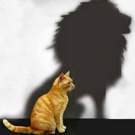 PECADO CAPITAL DA SOBERBA - PARTE I