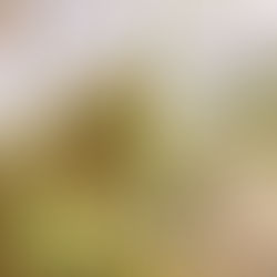 10 lições das 10 pragas do Egito