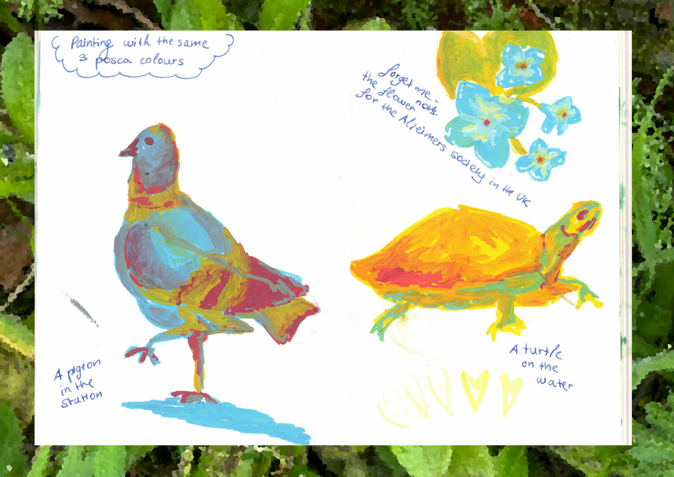 a study of a pigeon and a turtle painted with acrylic markers 