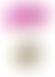 a pink shape and a brown and grey mixed shape