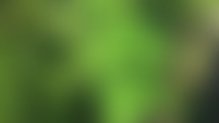 THC Scare In Water Supply