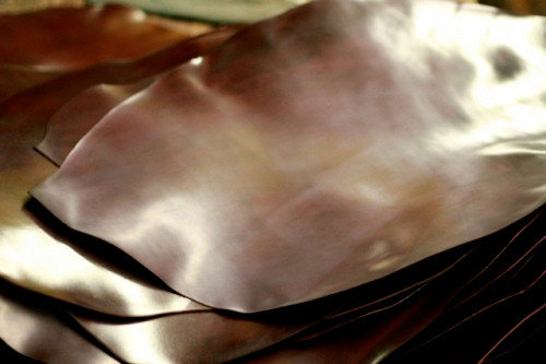 Cordovan Shell