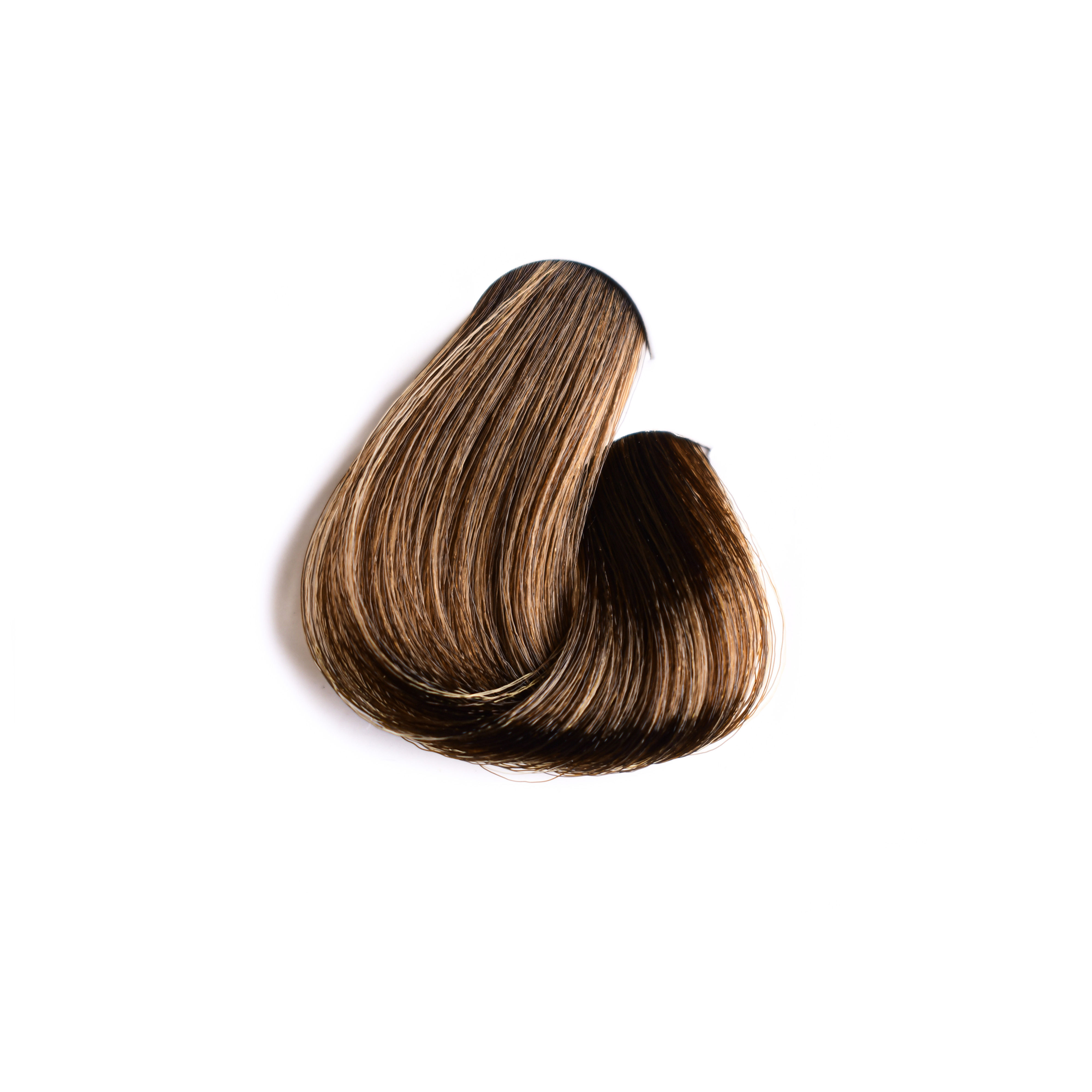 Porbela Color 8/33 – Hair swatch shade sample