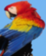 Image 2019-03-20 at 9.47.38 AM.png
