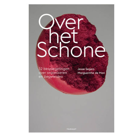 Over het Schone 32 bespiegelingen over organiseren en begeleiden