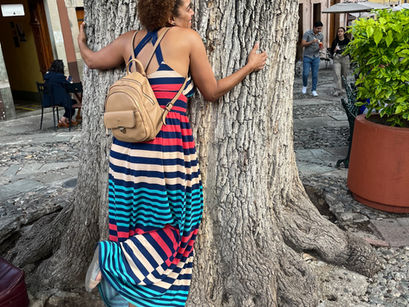 Tree and They Season