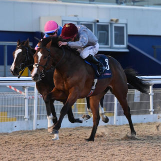 PORTER breaks his maiden at Dundalk