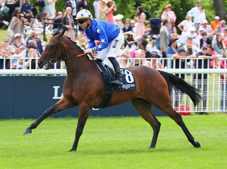 Nouveau gagnant de Stakes classique pour ZELZAL 