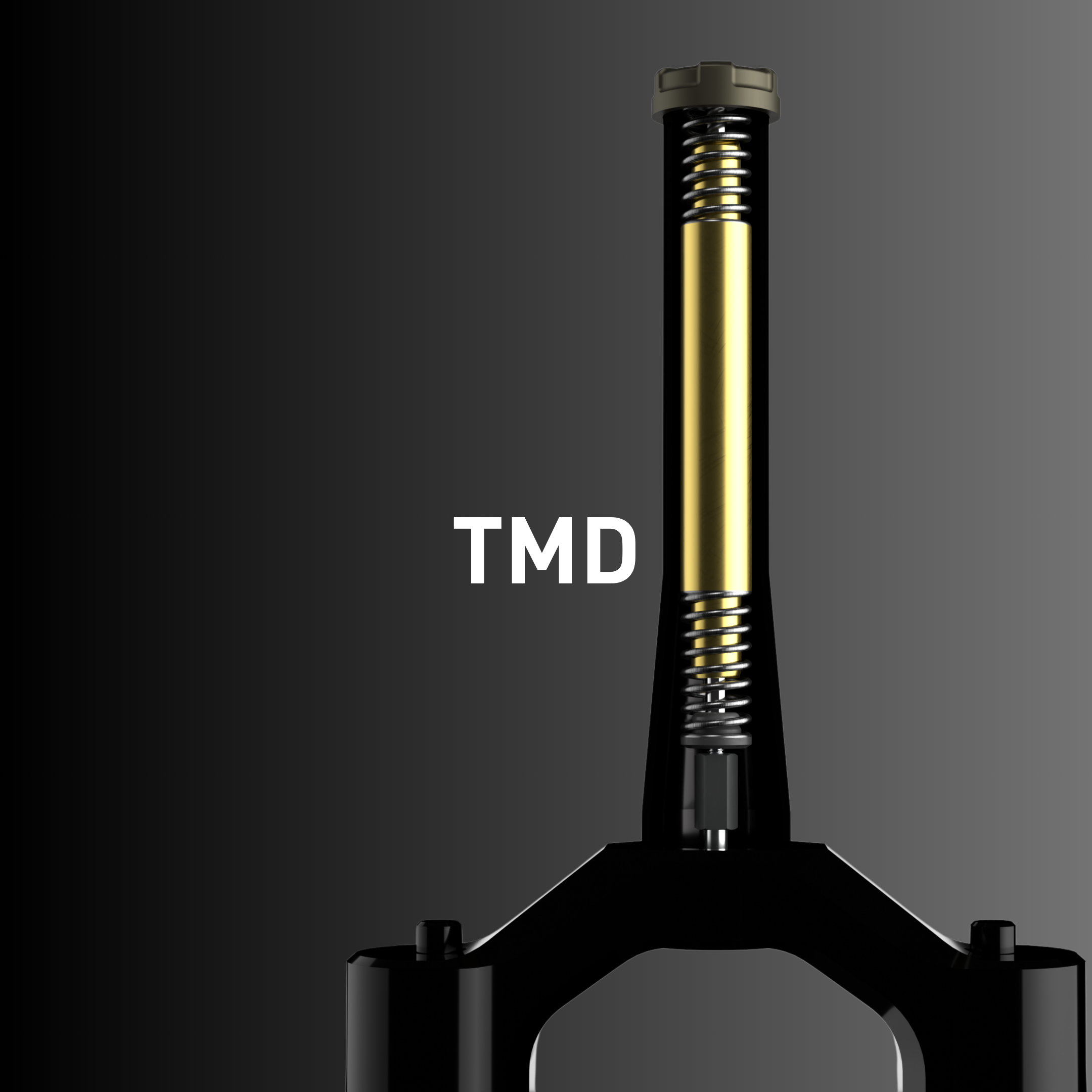 Rimpact TMD, an internally installed mass damper for mountain bikes