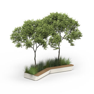 Assise en bois sans dossier intégrée à une jardinière contenant deux arbustes.