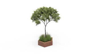 Module PLATAGONE haut en corten avec plantation et arbuste, pour aménagement paysager urbain.