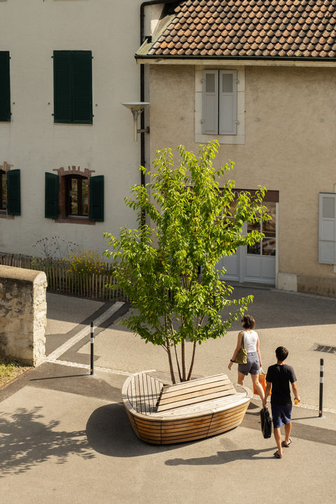 Module en bois lapilus, mobilier urbain avec courbes, planté avec un arbre, dossier en bois