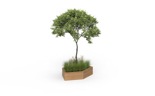 Module urbain haut en bois avec arbuste central et plantes basses.