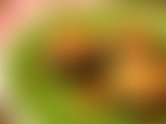 Grande novità: arrivano le monoporzioni di gastronomia fresca!