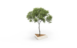 Élément urbain MOVE avec deck bois et arbre central dans un bac blanc en béton.