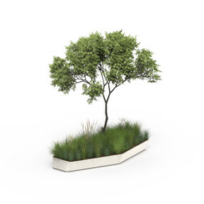 Jardinière ARROW avec graminées et arbre central.