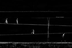 Souls in the darkness