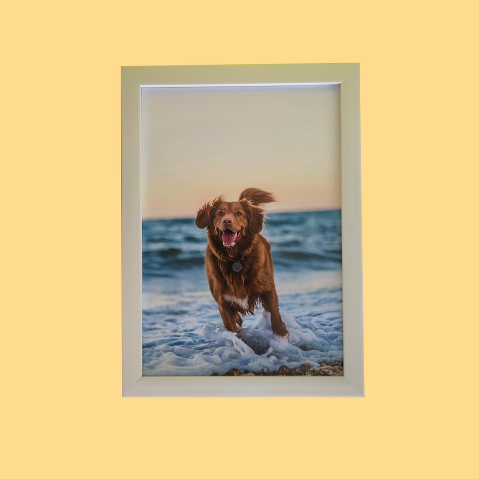 תמונה ממוזערת: תמונה ממוסגרת 21X30