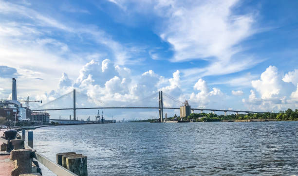 savannah movers.jpg
