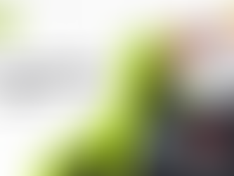 Person holding a clipboard; stethoscope, calculator, red heart on dark background. Text: "What is Supplemental Health Insurance and Is It Necessary?"