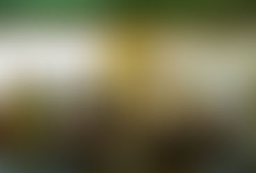 Spring Fever: K-Pop Tracks to Brighten Your Playlist