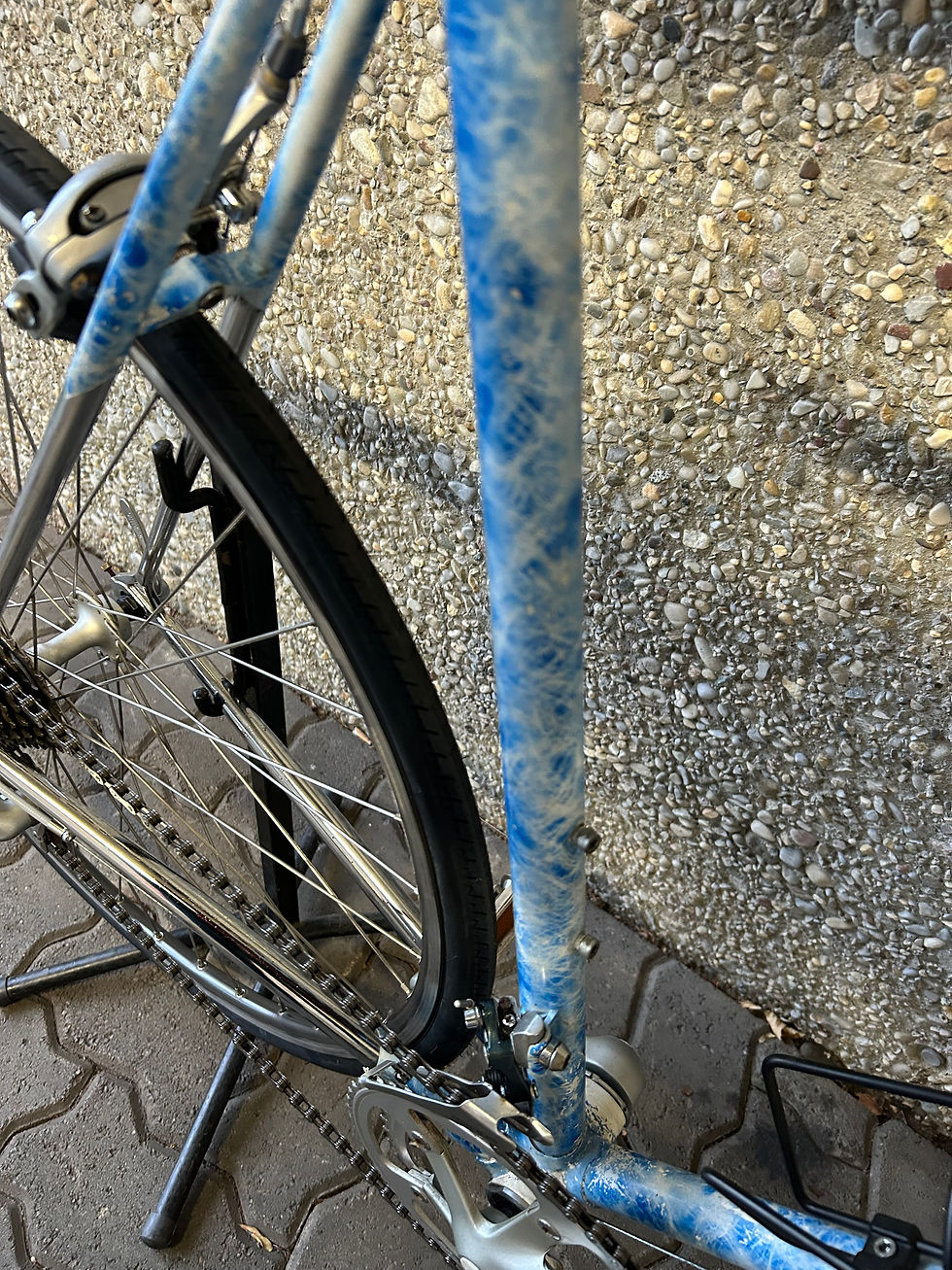 Miniaturbild: Titan exclusiv Rennvelo