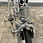Miniaturbild: Colnago Super Rennvelo