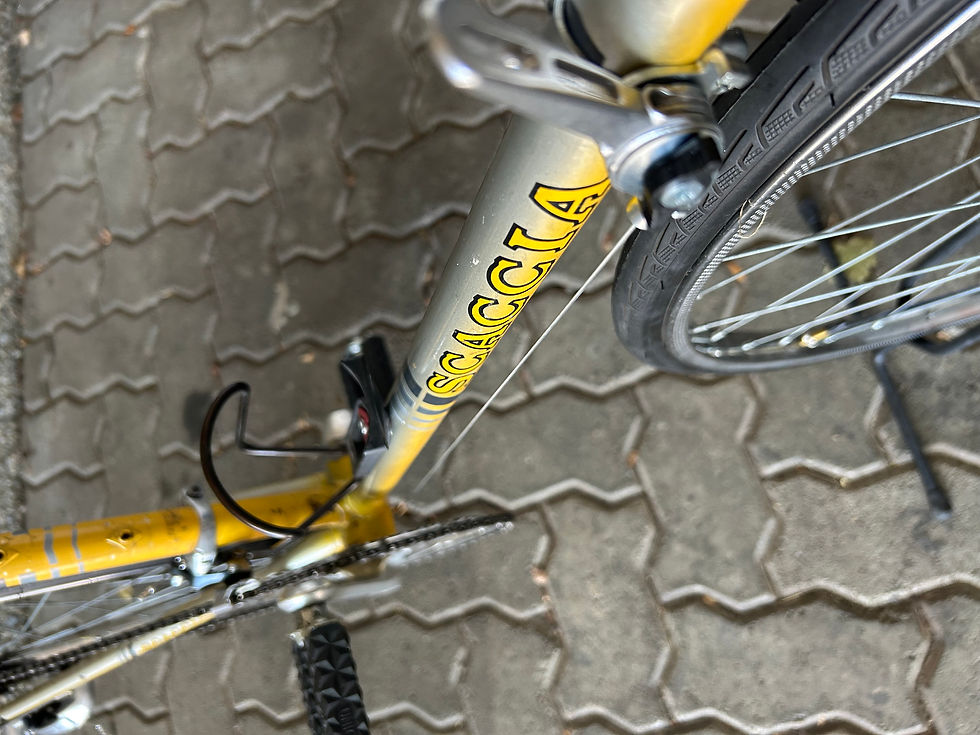 Miniaturbild: Scaccia Gravel Velo