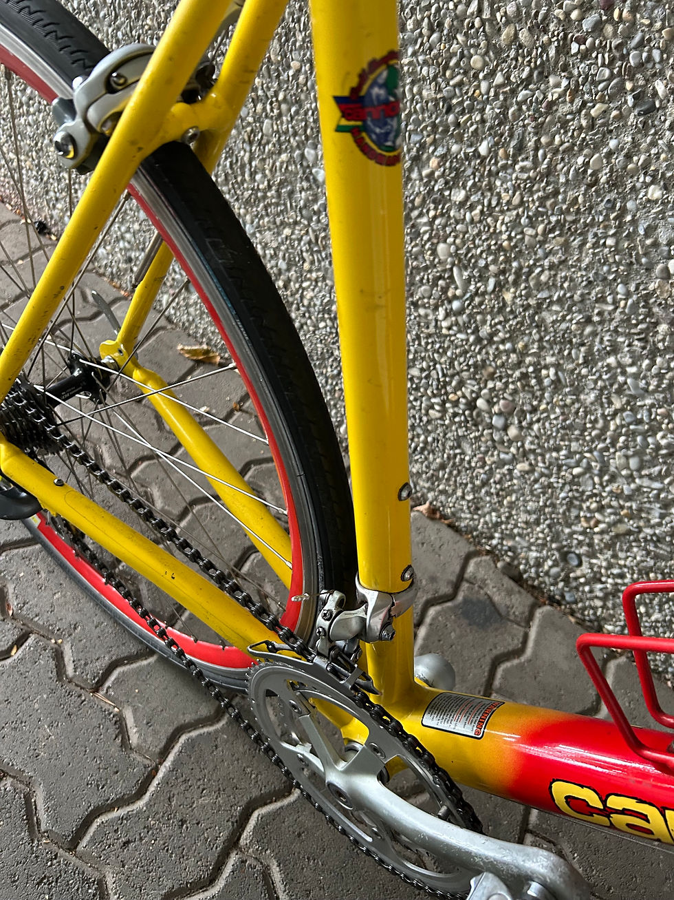 Miniaturbild: Cannondale Rennvelo