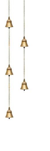 img54_edited.png