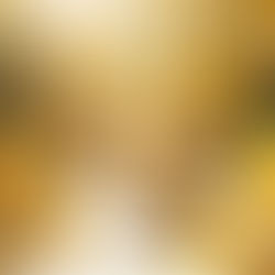 Een schat aan mogelijkheden