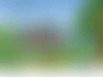 The Backyard Takes Center Stage in Everyday Life