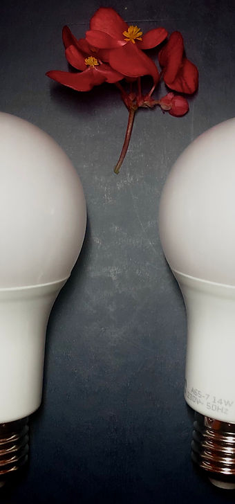 gestalt figura-fondo.jpg