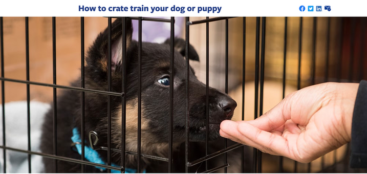 Screenshot 2025-02-12 at 11.54.12 am.png