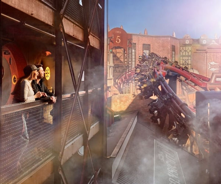 phantasialand fly pic.jpg