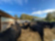 6418D058-E710-4E94-82CE-700D8E765BAA.jpe