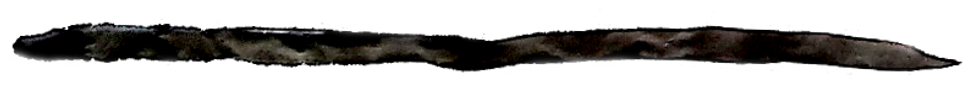 붓자국.png